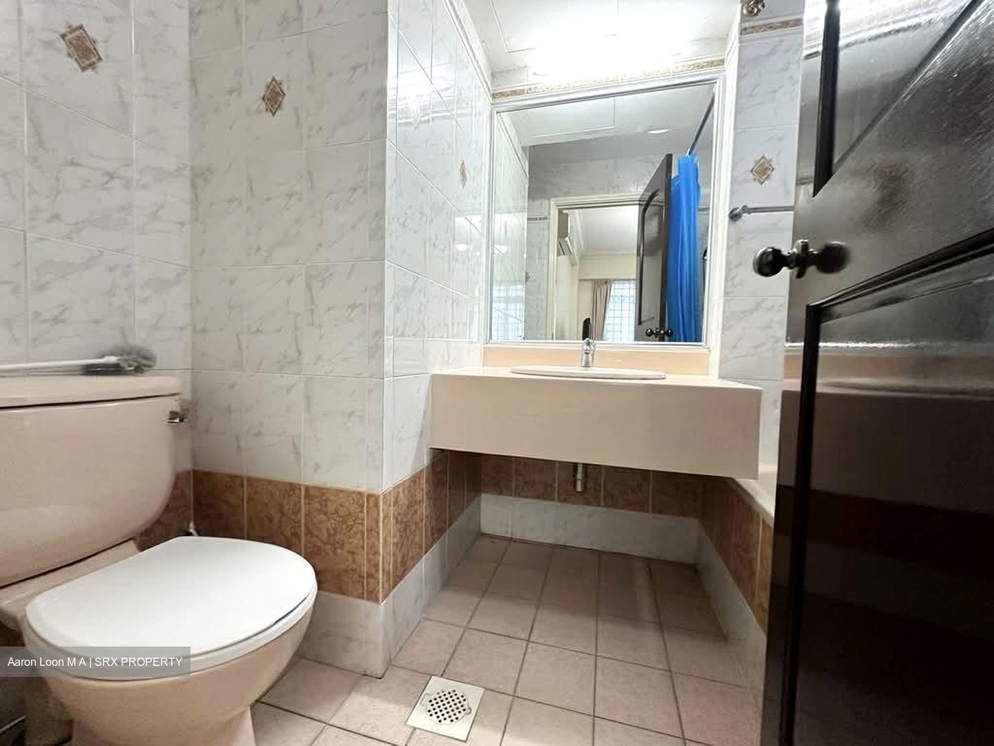 Hume Park I (D21), Condominium #544456491